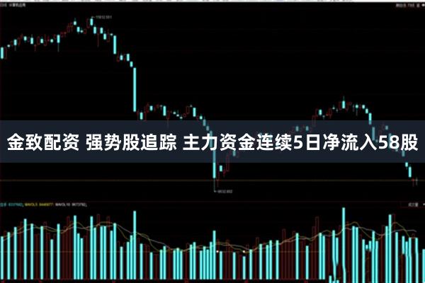 金致配资 强势股追踪 主力资金连续5日净流入58股