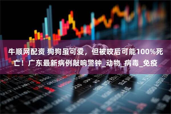 牛顺网配资 狗狗虽可爱，但被咬后可能100%死亡！广东最新病例敲响警钟_动物_病毒_免疫