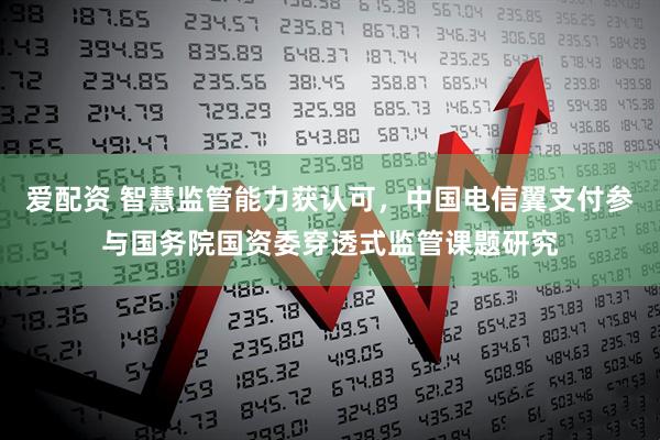 爱配资 智慧监管能力获认可，中国电信翼支付参与国务院国资委穿透式监管课题研究